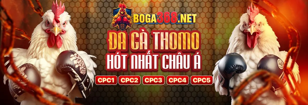 Hình ảnh minh họa chính sách cookie của 288bet Trang Chủ Chính Thức