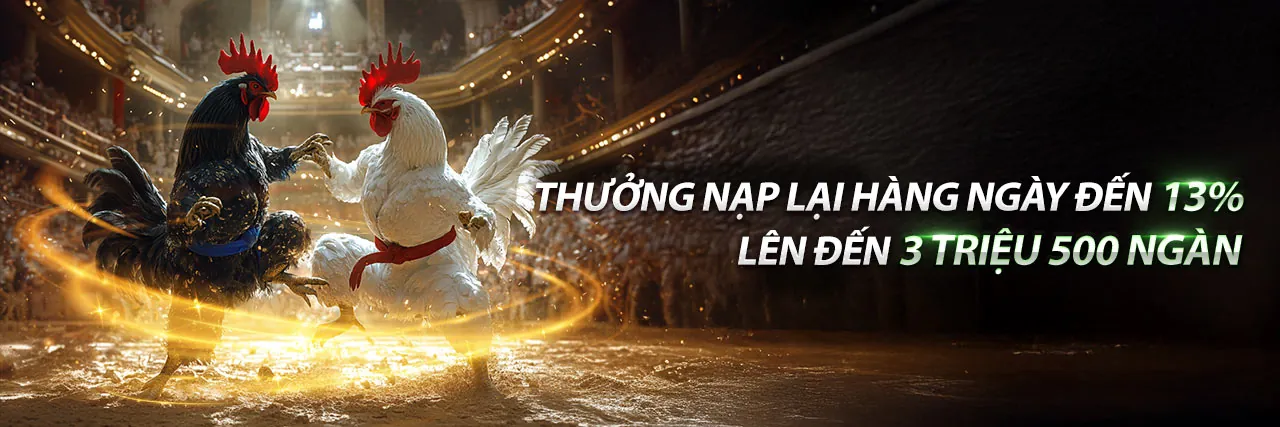 Giao diện người dùng 288bet thân thiện và hiện đại
